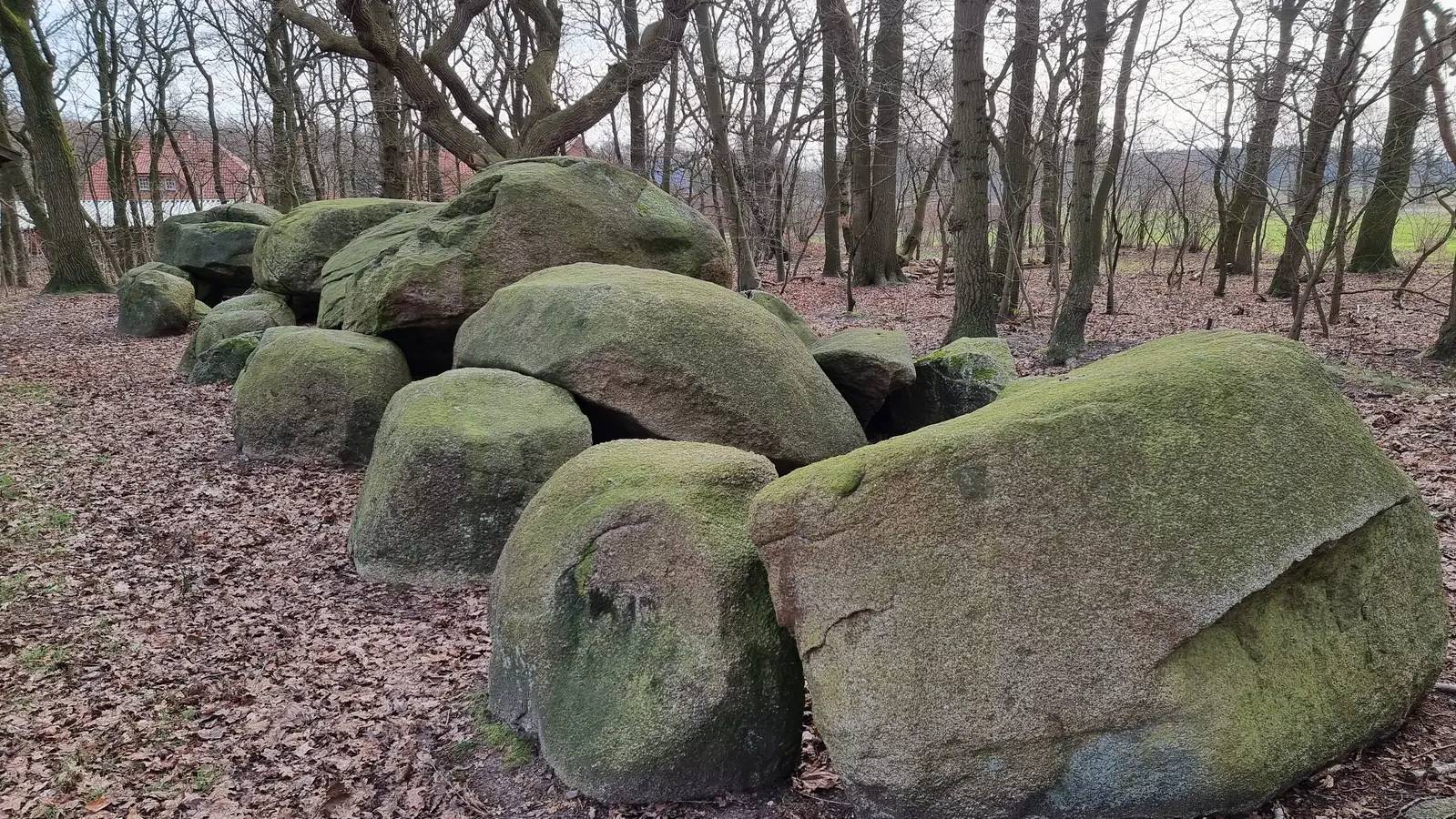 Steinkammergrab Bruneforths Esch im Emsland -  Megalithmonumente in Norddeutschland entdecken. 