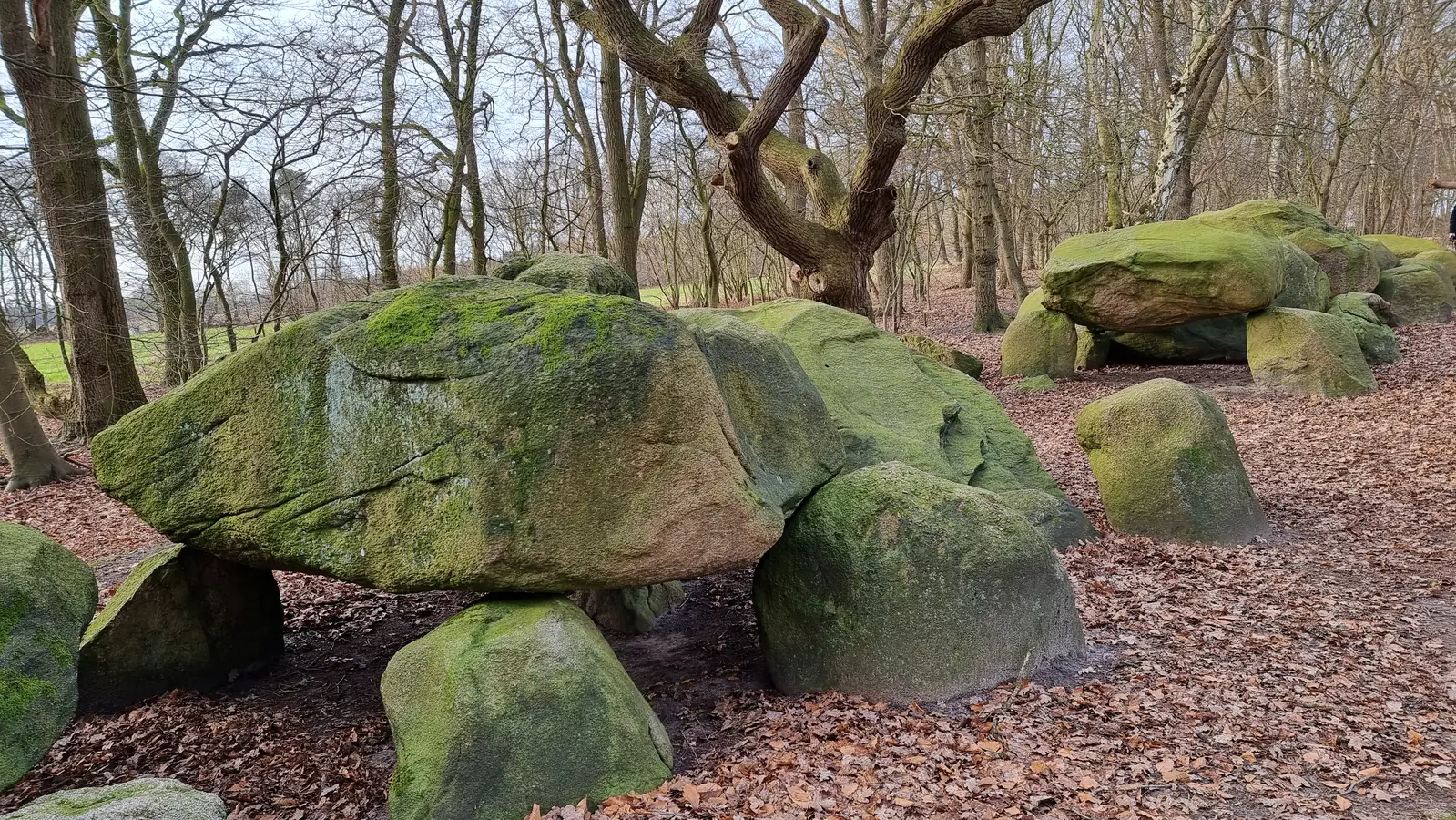 Steinkammergrab Bruneforths Esch im Emsland -  Megalithmonumente in Norddeutschland entdecken. 