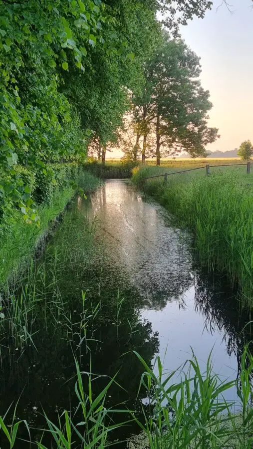 Impressionen aus Friesland, Sonnenaufgang in Friesland, Schafe am Deich