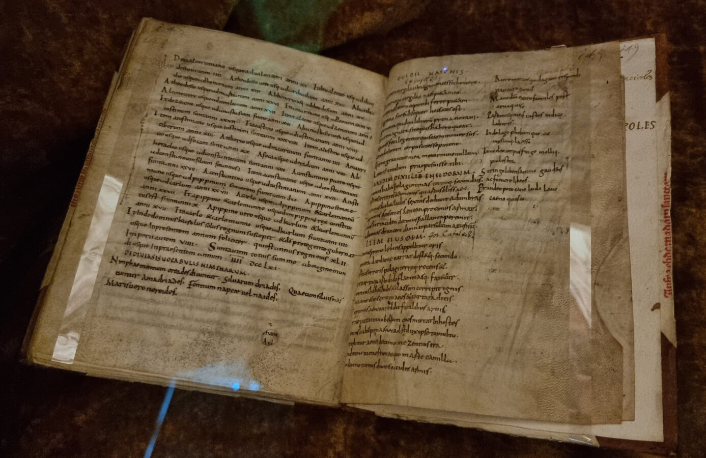 In der Bibliothek von St. Gallen findet man die ältesten Bücher der Welt. 