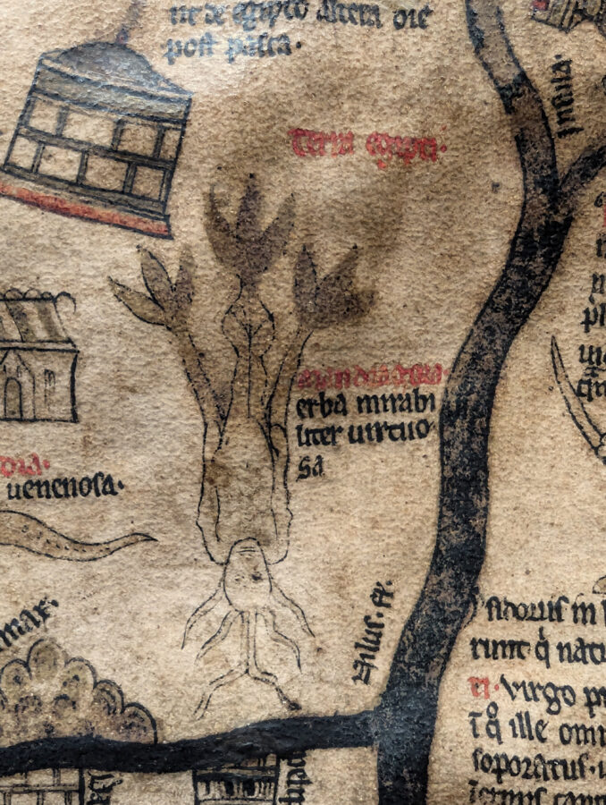 Fabelwesen auf einer mittelalterlichen Weltkarte, Phantastische Wesen auf der Mappa Mundi, Sehenswürdigkeiten von Hereford
