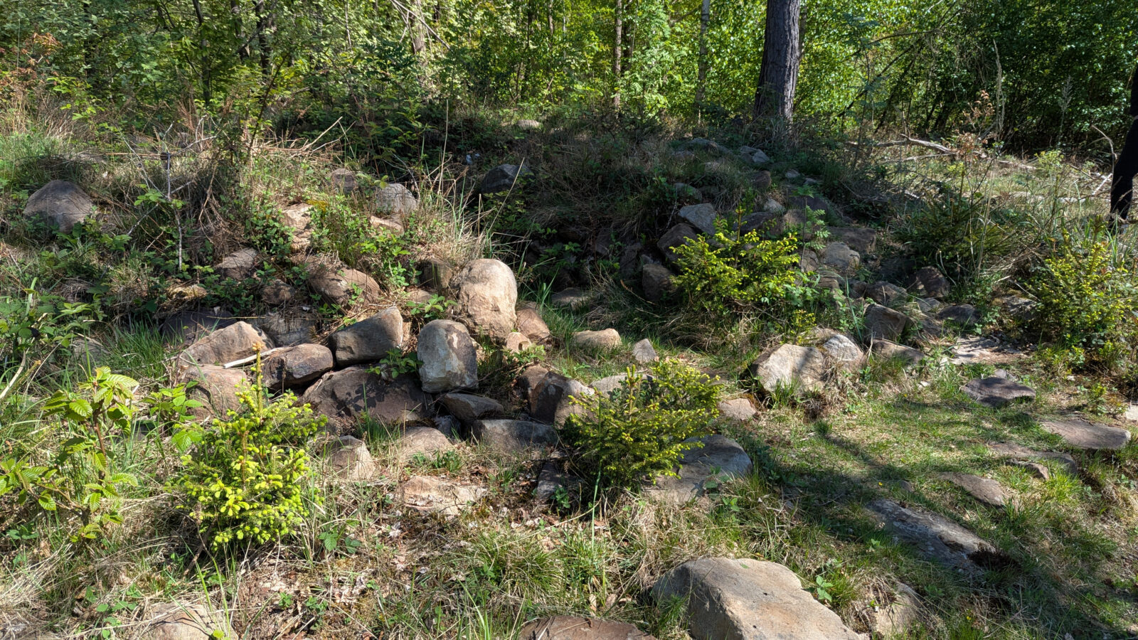 Mystische Orte in Ostwestfalen, Mystische Orte im Teutoburger Wald, Steinkammergräber, Steinkreise, Megalithmonumente in Ostwestfalen