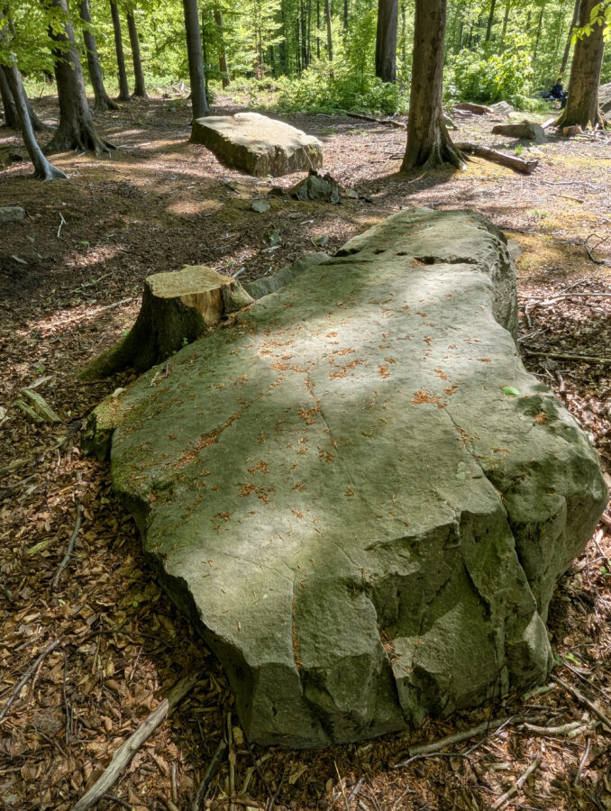 Mystische Orte in Ostwestfalen, Mystische Orte im Teutoburger Wald, Steinkammergräber, Steinkreise, Megalithmonumente in Ostwestfalen