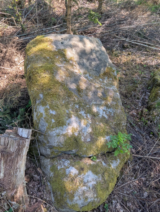Mystische Orte in Ostwestfalen, Mystische Orte im Teutoburger Wald, Steinkammergräber, Steinkreise, Megalithmonumente in Ostwestfalen