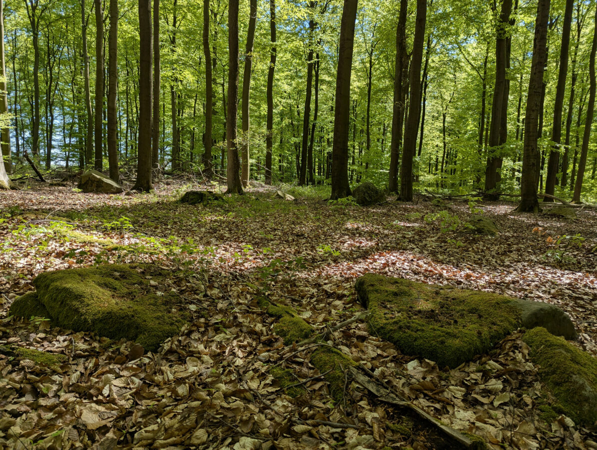 Mystische Orte in Ostwestfalen, Mystische Orte im Teutoburger Wald, Steinkammergräber, Steinkreise, Megalithmonumente in Ostwestfalen